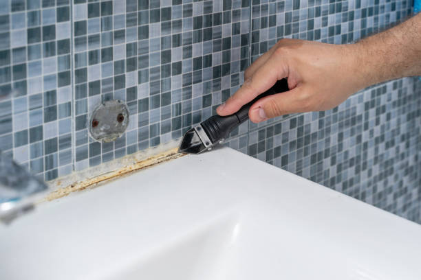 Best Mold Testing and Inspection Services in Mission Viejo, CA