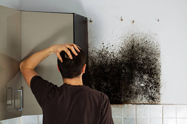 Best Mold Remediation for Schools in Mission Viejo, CA